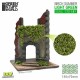 Edera in miniatura - Betulla verde chiaro - Piccolo